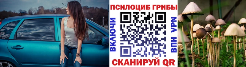Галлюциногенные грибы Cubensis Олёкминск